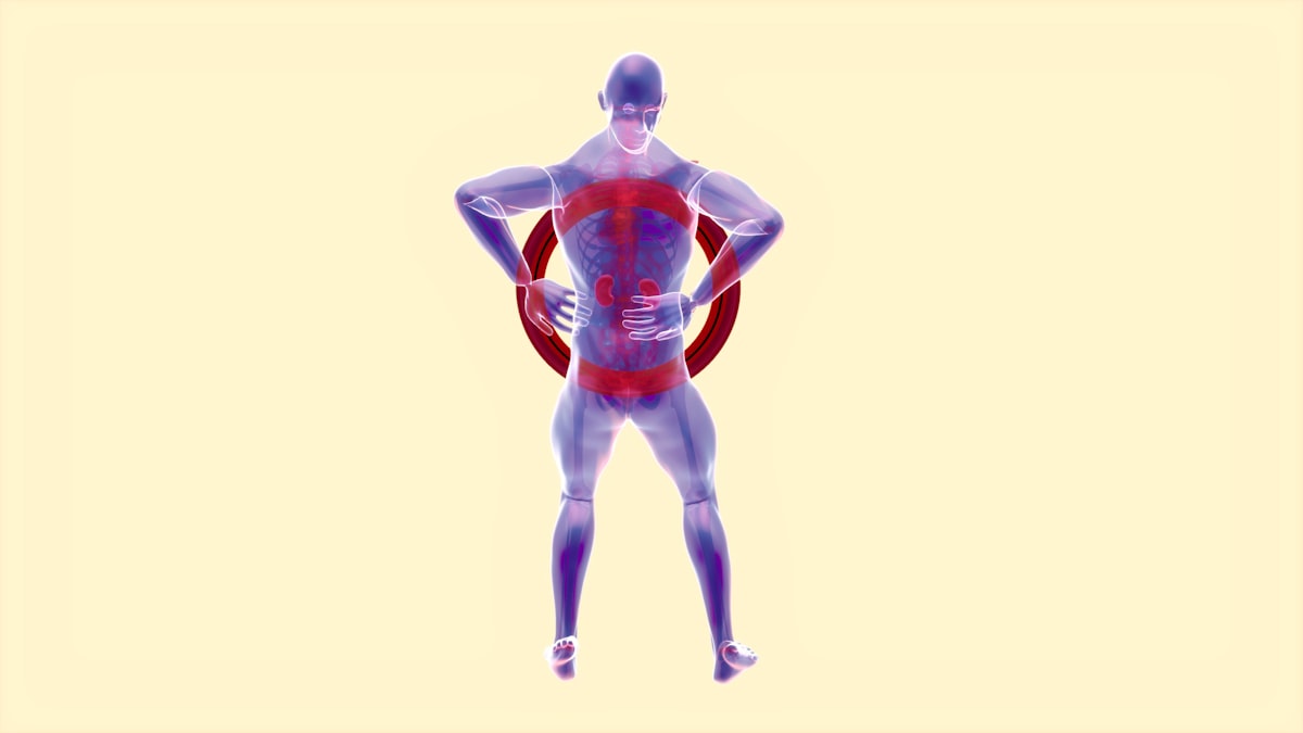 Pelvic floor anatomical training